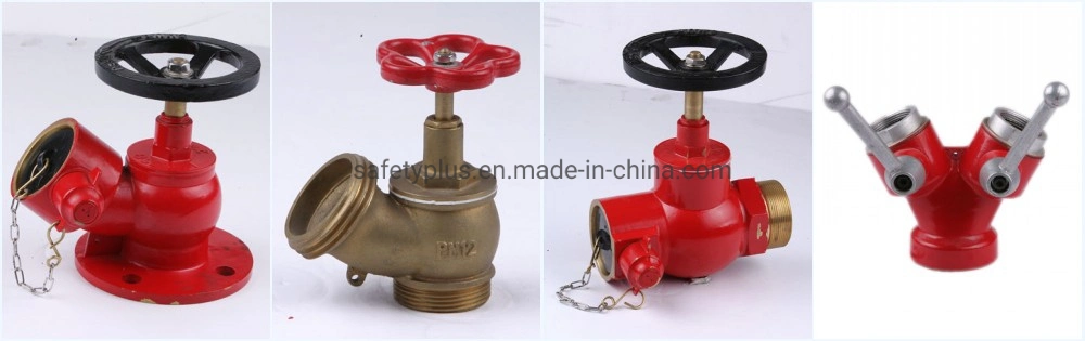 Indoor Building 2.5&prime; &prime; Flanged Fire Hydrant for Sale