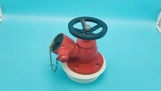 Indoor Building 2.5′ ′ Flanged Fire Hydrant for Sale